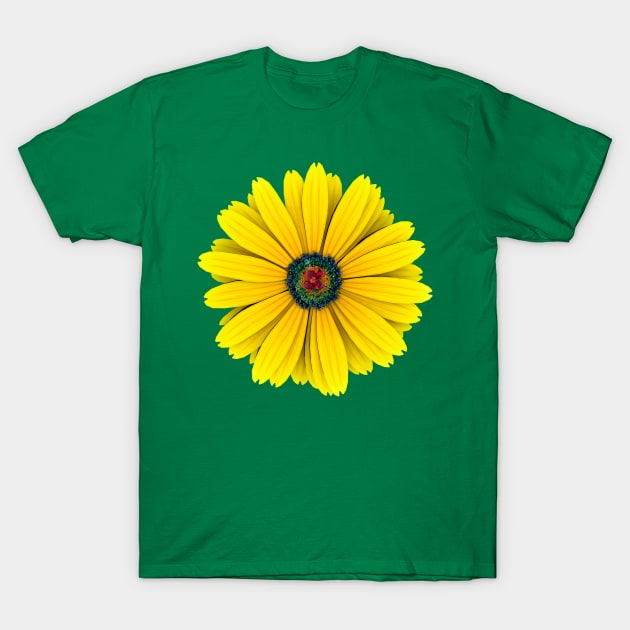 BIG SUNNY DAISY T-Shirt by madomasaqui